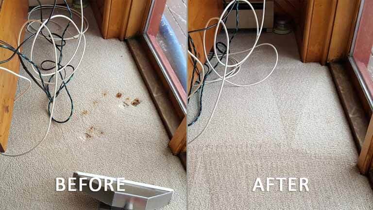 Carpet Cleaning