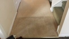 Carpet Cleaning