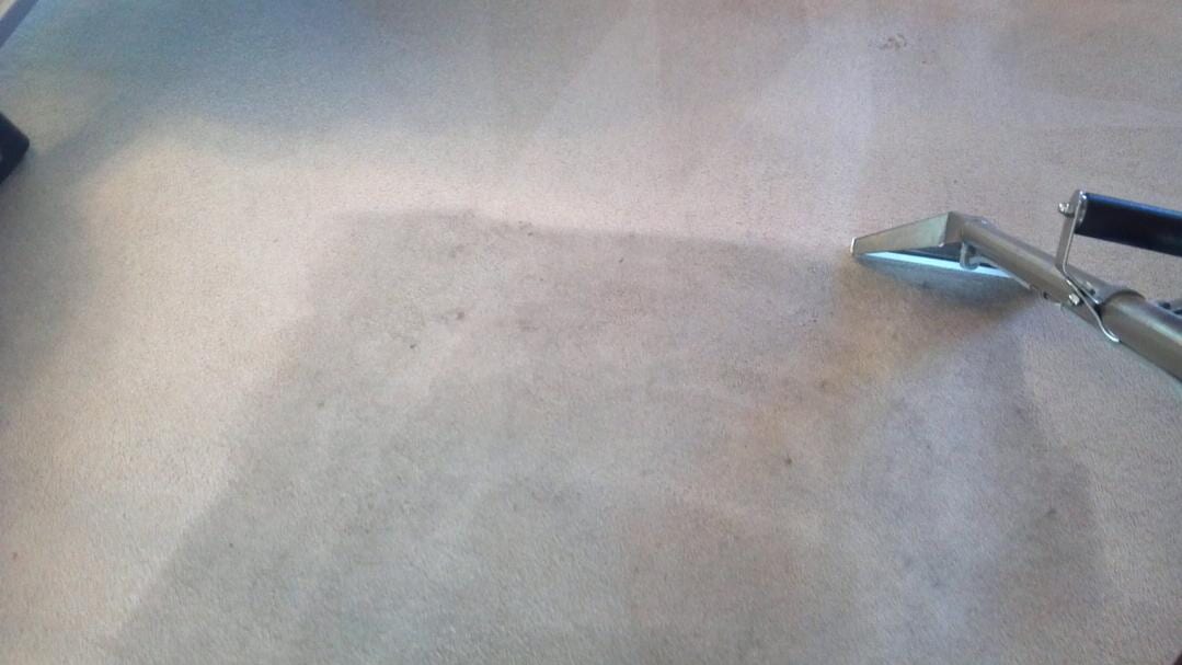 Carpet Cleaning