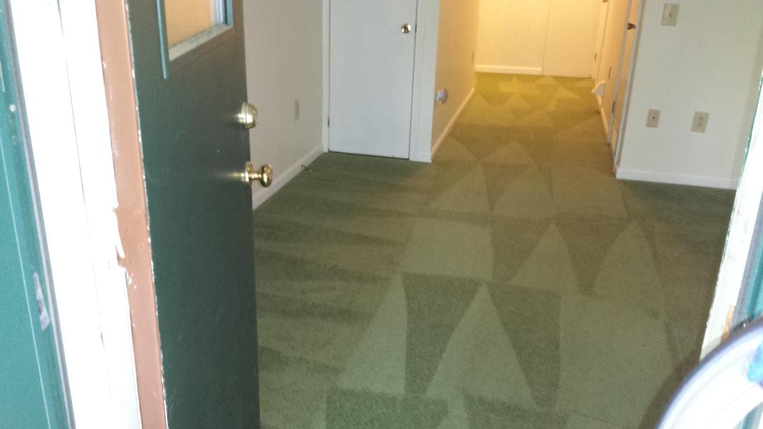 Carpet Cleaning