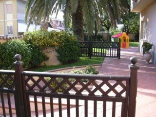 giardino, scoperta natura