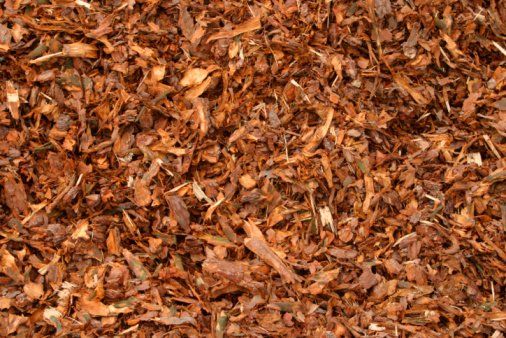 Organic Mulch For Sale - Staten Island, New York - Holly Expert Tree Care Service, Inc. Organic Mulch For Sale - Staten Island, New York - Holly Expert Tree Care Service, Inc.