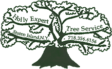 Holly Expert Tree Care Service, Inc. Holly Expert Tree Care Service, Inc.