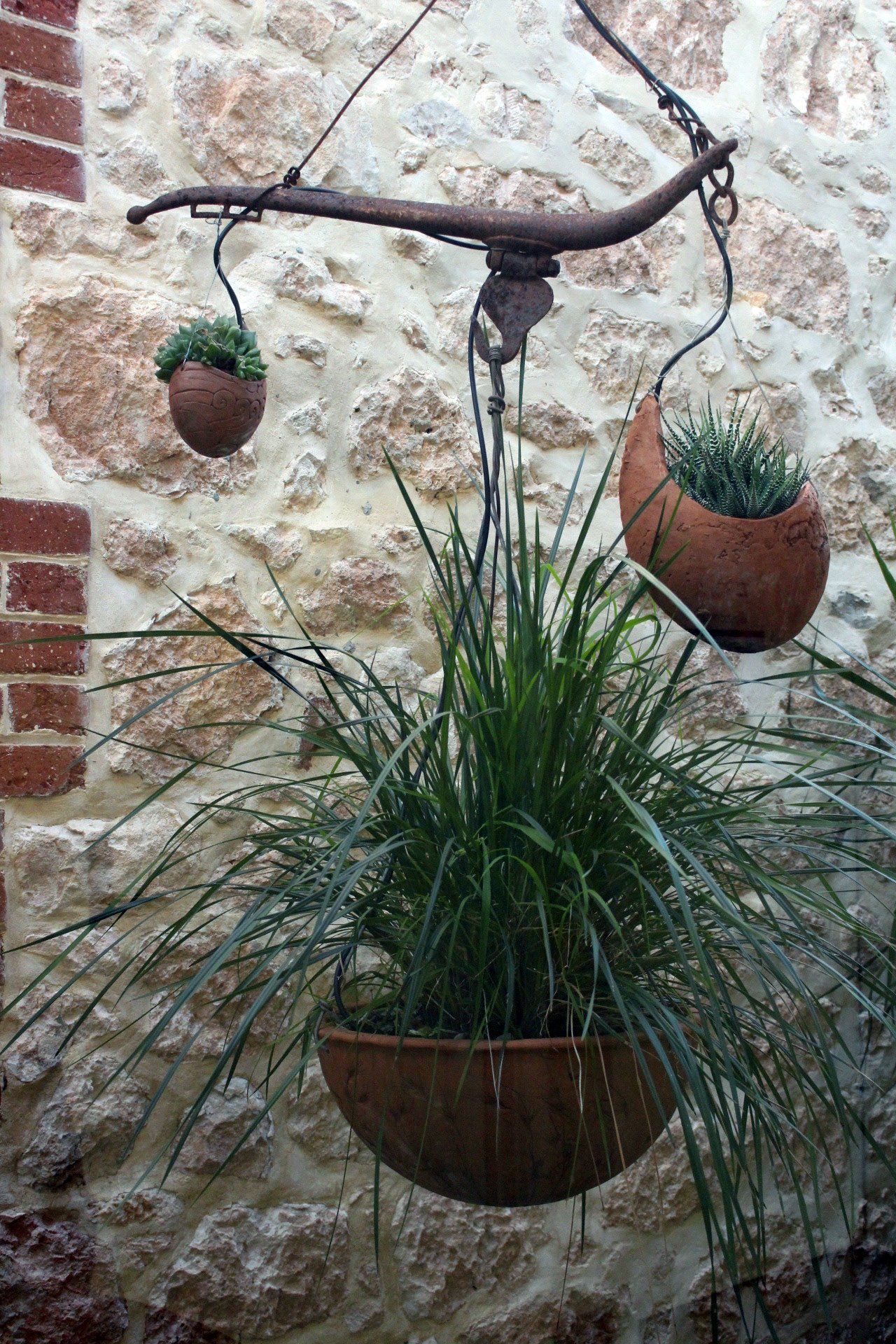 Mill House Medical Centre Atrium Plants 2