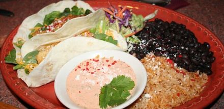 Mexican food on plate - Mexican food in Bainbridge Island, WA Mexican food on plate - Mexican food in Bainbridge Island, WA