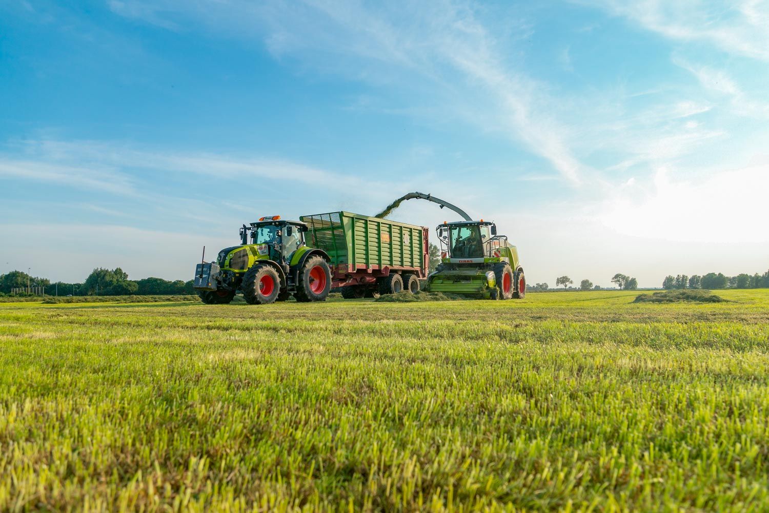 Ein Traktor mit einem Anhänger fährt durch eine Wiese.