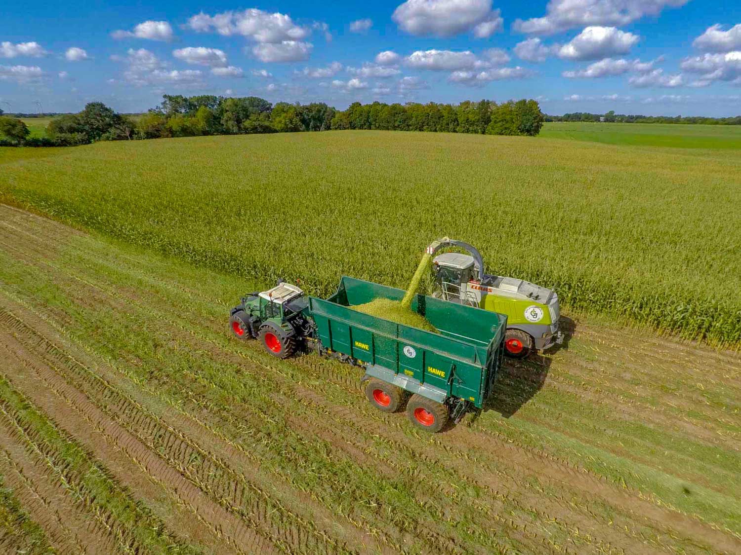 Eine Luftaufnahme eines Traktors mit Anhänger in einem Maisfeld.