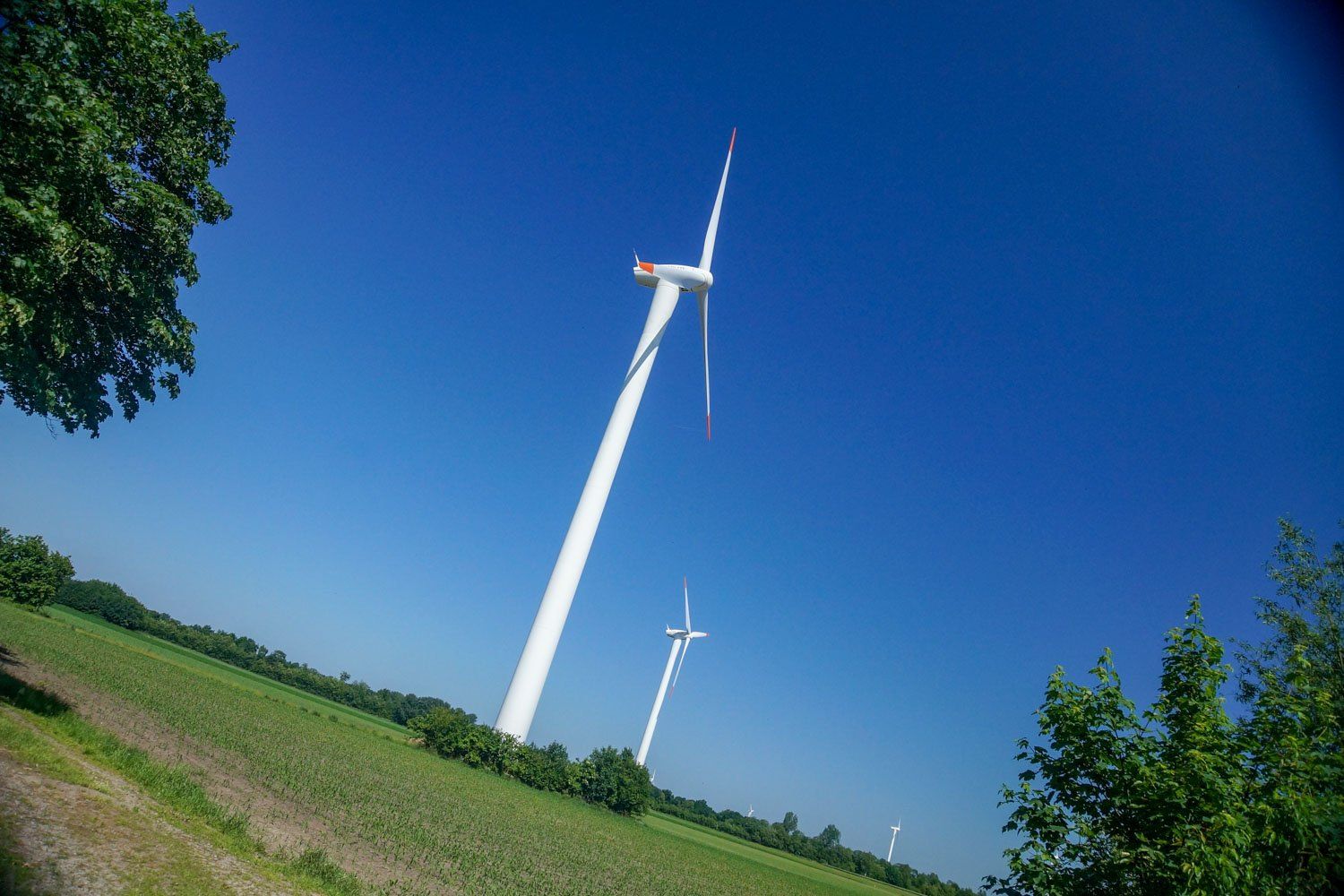 Eine Windkraftanlage steht mitten auf einem Feld.