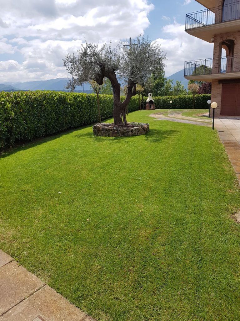 Un prato