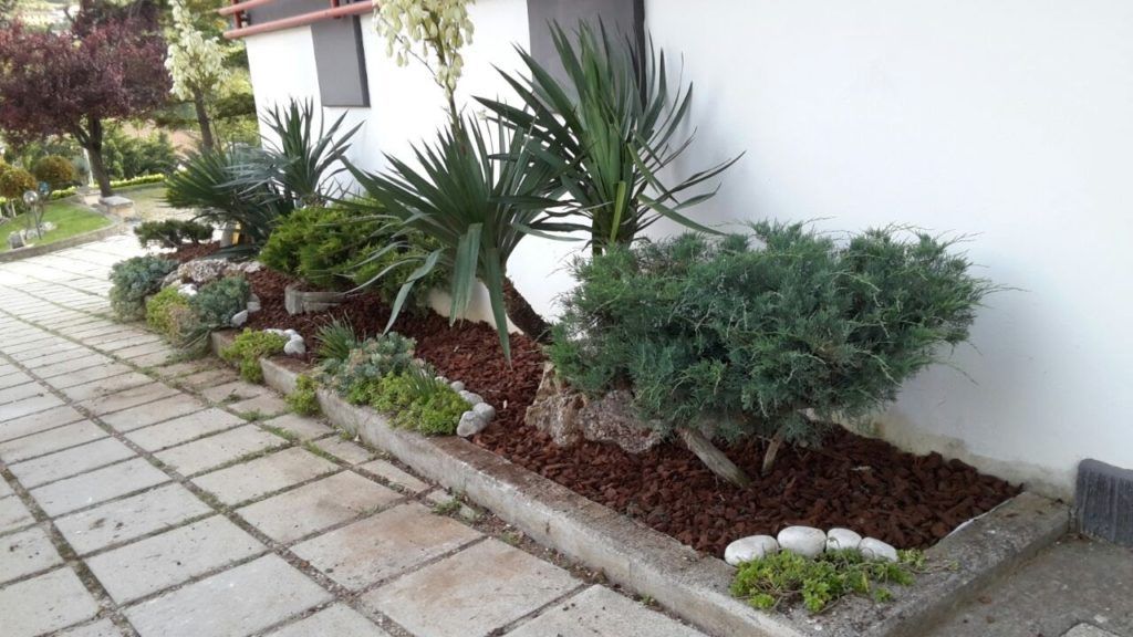 Area verde condominiale con piante