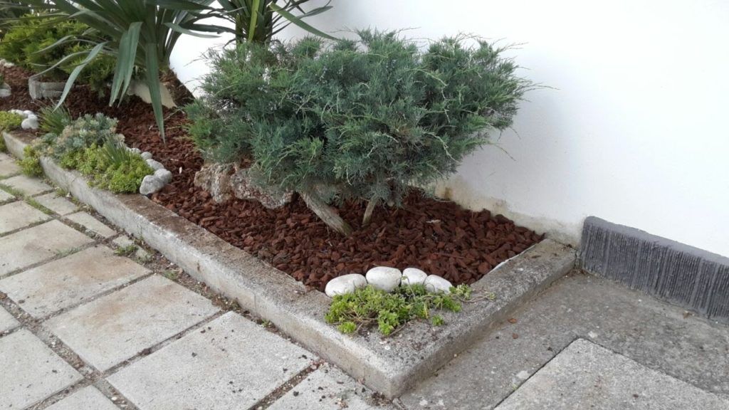 Angolo di un giardino comune