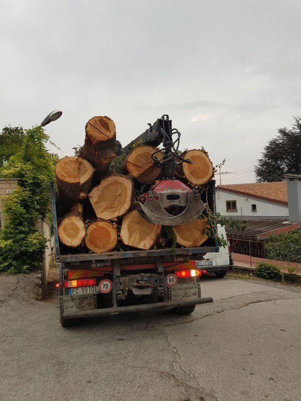 Un camion che trasporta tronchi