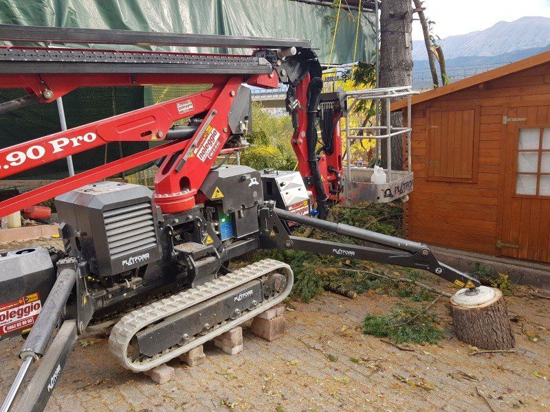 Macchinario per abbattimento alberi