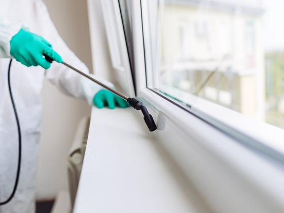 Pest Control Services — Using Pesticide Against Pests in Carlisle, PA