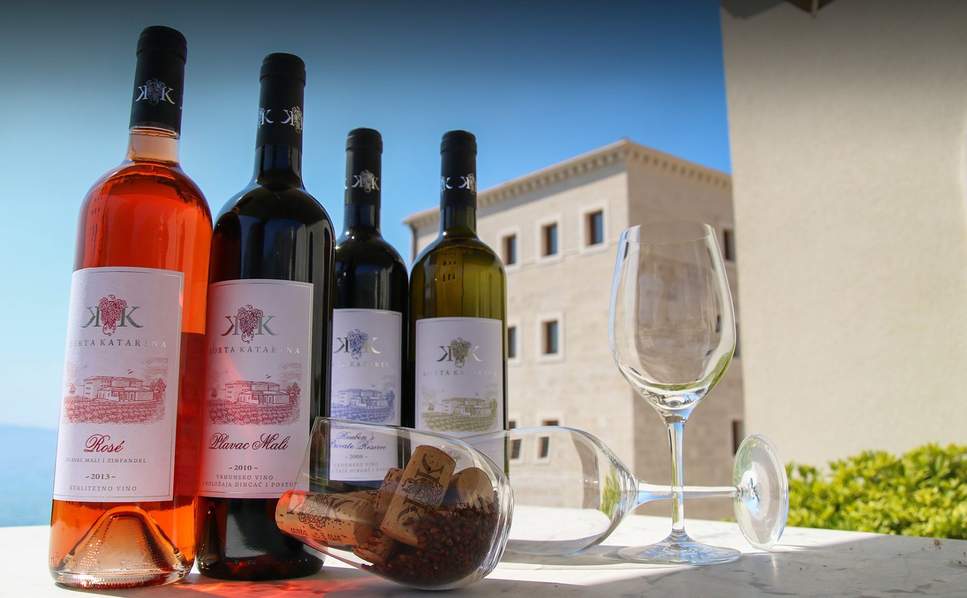 WINE TASTING