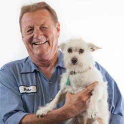 Mercedes Benz Repair — Dale Langhout in Modesto, CA Mercedes Benz Repair — Dale Langhout in Modesto, CA