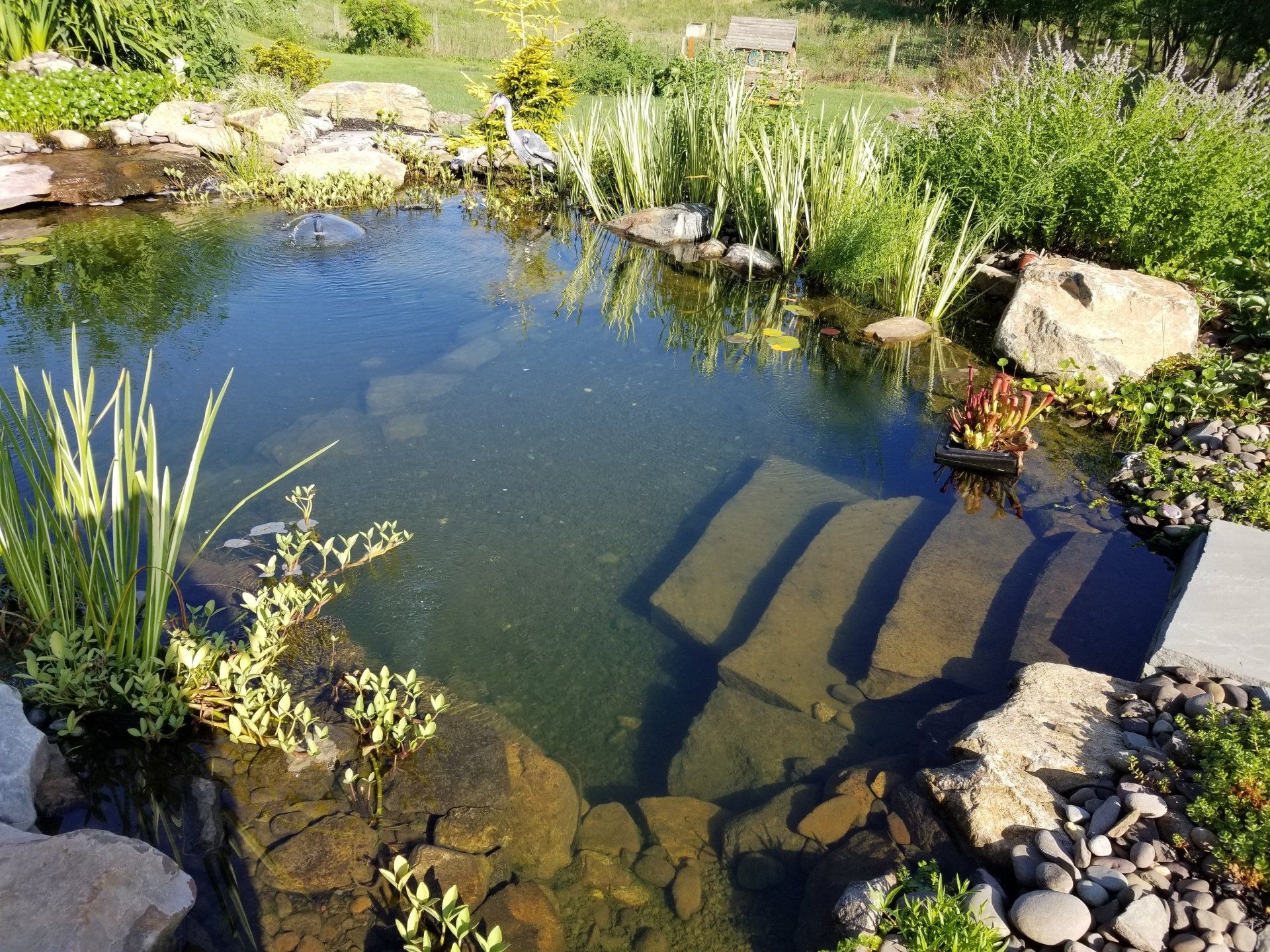 Backyard Pond — Red Lion, PA — Garden Creations LLC