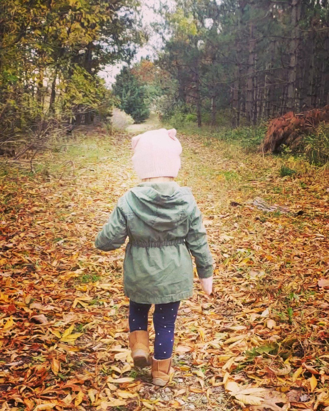 Child walking on fall leaves