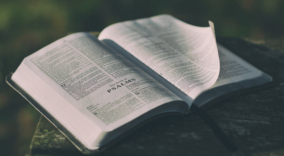 Bible opened to the book of Psalms