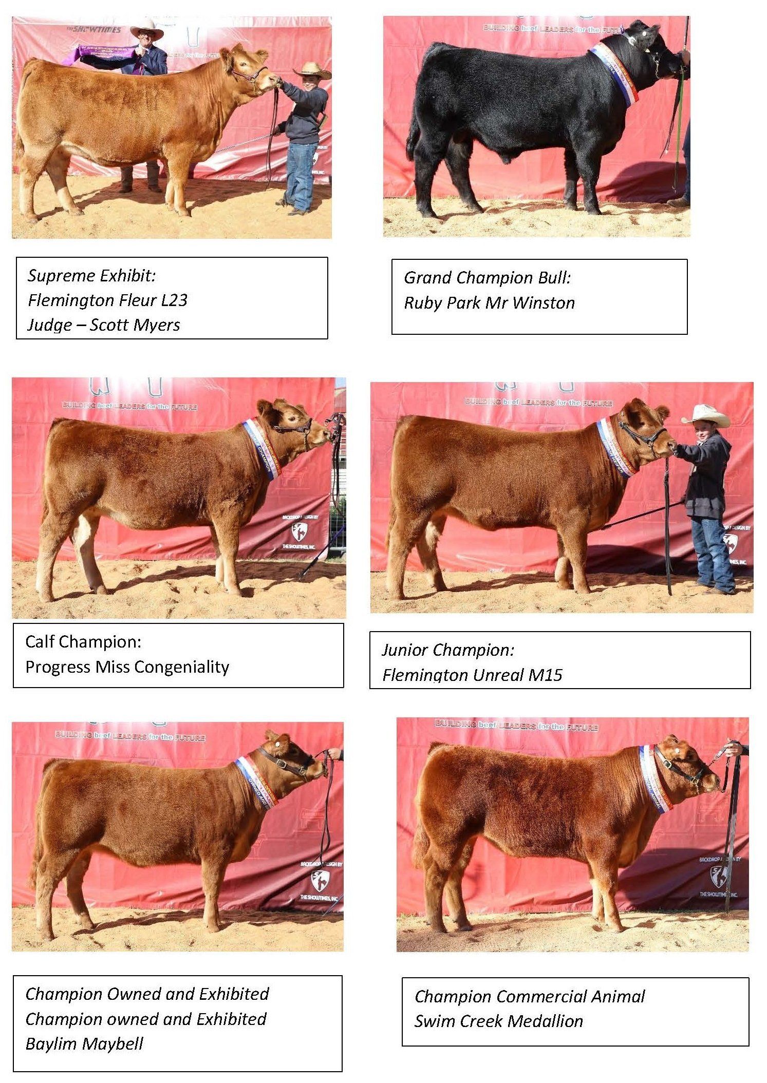 Limousin Classes