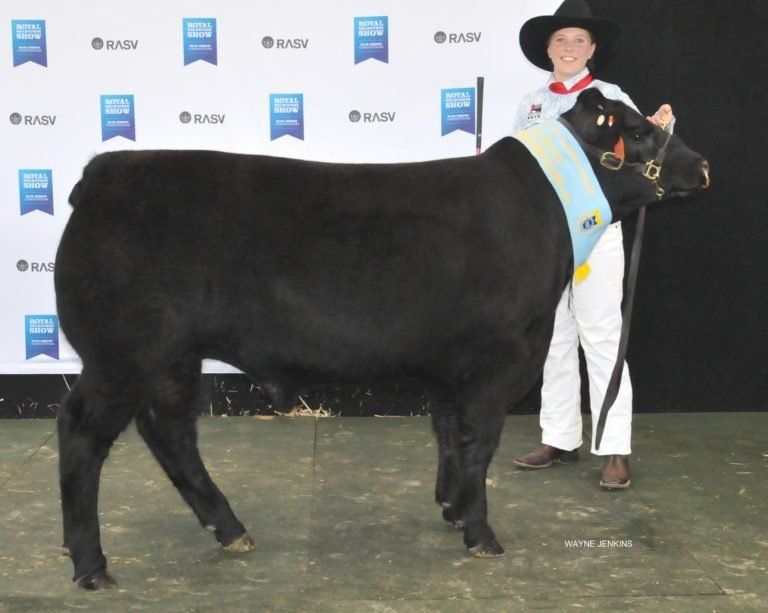 Champion Medium Domestic Steer exhibited by Coonamble High School.