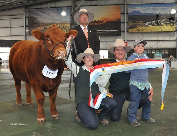 Donna and Ian Robson, Adelong, NSW, with son Jack, judge Peter Falls, Finley, NSW, and the Grand Champion Bull