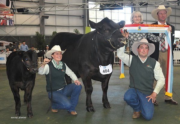 Grand Champion Female, Limousin Society Executive Office Fran O’Dea and judge Huw Evans, with Lisha Basse, Mangalore, Vic and exhibitor Pat Halloran, Kyneton, Vic. Photo courtesy Wayne Jenkins.