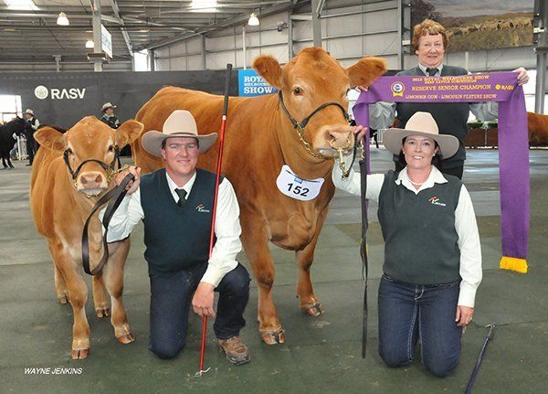 Joan Symons , Allansford, Vic ,sashing the reserve senior champion female at Melbourne show 2015 shown by Ian and Donna Robson, Adelong , NSW