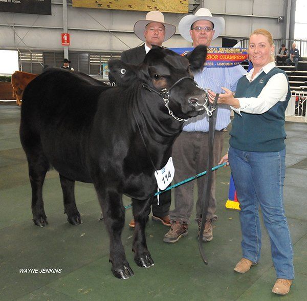 Judge Peter Falls, Finley, NSW, and Tim Bayliss, Bayliss Livestock, Armidale, NSW, with handler Casey Wieck, Delungra, NSW and the Junior Champion Heifer at Melbourne 2015