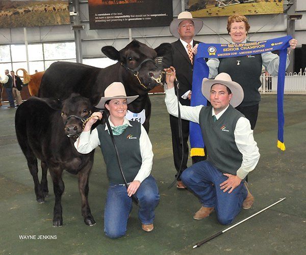 dge Peter Falls, Finley, NSW, with Joan Symons, Allansford, Vic, handler Lisha Basse, and exhibitor Pat Halloran, Kyneton, Vic and his Senior Champion Female