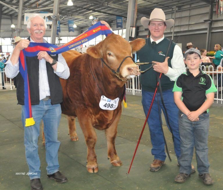 Junior Champion Bull with Dennis O’Connor, Wangaratta, Vic placing the sash and exhibitors Ian and Jack Robson, Adelong, NSW. Photo courtesy Wayne Jenkins.