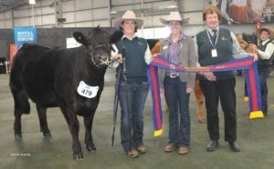 Junior Champion Heifer shown by Donna Robson, Adelong, NSW and associate judge Emma Dickson, and Joan Symons, Allandale, Vic. Photo courtesy Wayne Jenkins.