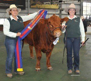 Karen Hedger, Culcairn, NSW, with exhibitor Donna Robson, Adelong, NSW, with the Junior Champion Bull at Melbourne 2015