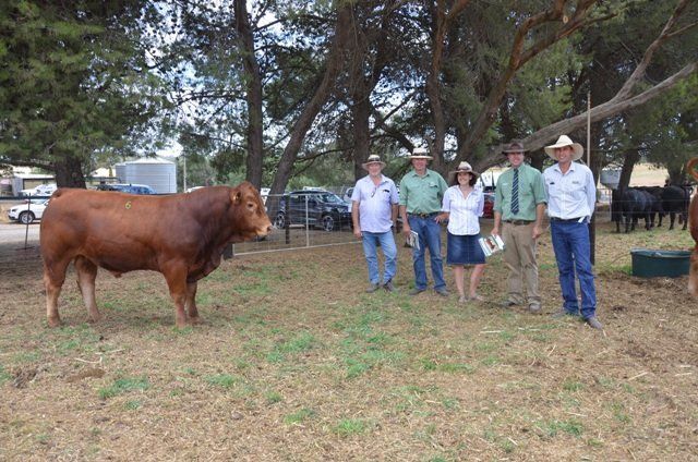 Maryvale sale photo caption in article