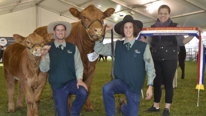 Mason and Bentley Galpin with grand champion female Warrawindi Gypsy and Emily Buddle. Photo courtesy Stock Journal.
