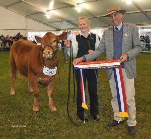 Phoebe Eckermann ,Korunye, SA , leading the junior champion heifer at Adelaide 2015 being sashed by Barry Vogt , Kapunda, SA