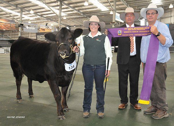 Reserve junior champion heifer Melbourne show 2015 ,with exhibitor Donna Robson, Adelong , NSW and judge Peter Falls , Finley, NSW , and Tim Bayliss , Bayliss Livestock , Armidale , NSW
