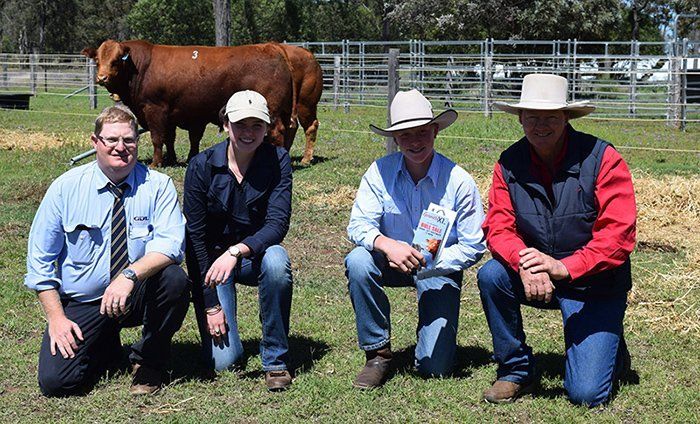 Lot 3 Graneta King-Billy was the top-priced bull at Graneta Limousin and Angus on-property bull sale selling for $16,000 to the Wilson Family of Banana Station, Biloela. Congratulating Layla and Walter Wilson are GDL agent Mark Duthie and stud Principal, Jon Gaffney.