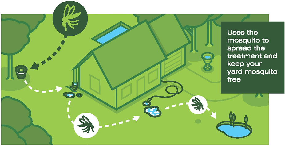 In2care-cycle-graphic