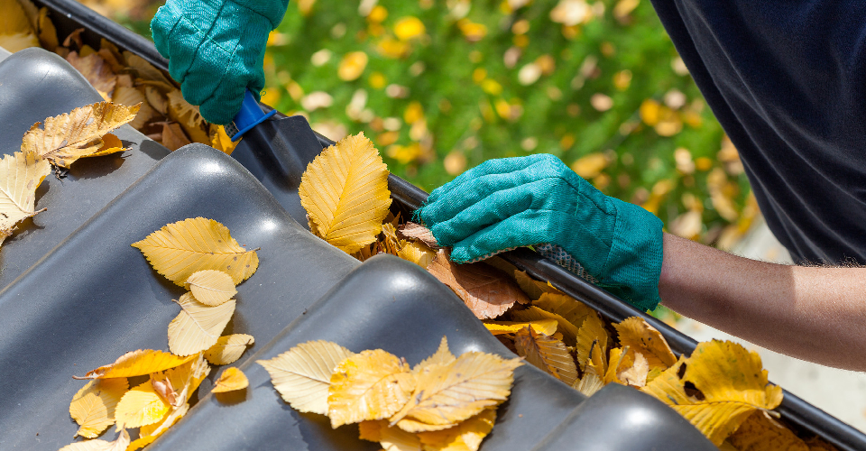 Gutter cleaning specialist