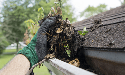 Gutter cleaning services