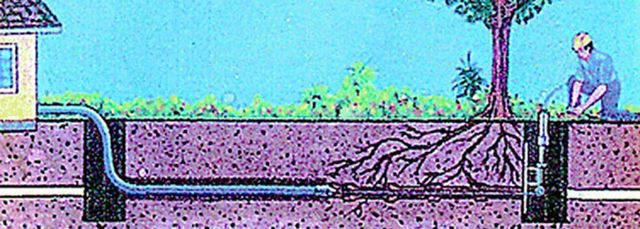 image-221203-header.w640.jpg?1428686367652 image-221203-header.w640.jpg?1428686367652