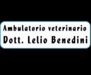 AMBULATORIO VETERINARIO DOTTOR LELIO BENEDINI - logo