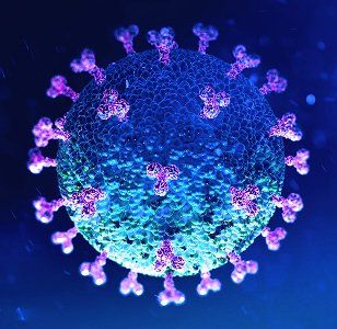 Corona Virus