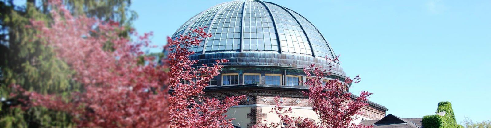 Curved Glass - Conservatories