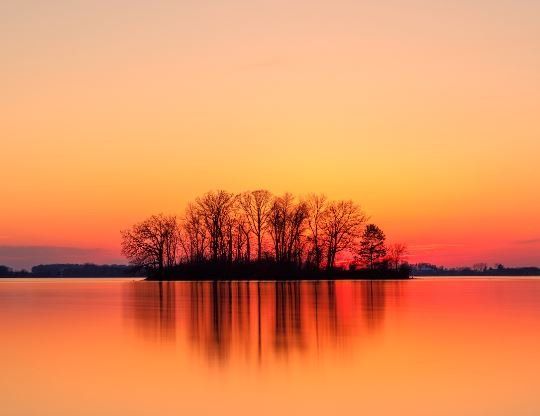cremation services in Chicago, IL