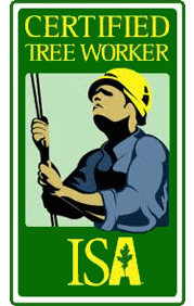 Certified Tree Worker - Tree Services in Lebanon, MO Certified Tree Worker - Tree Services in Lebanon, MO