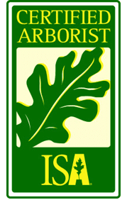 Certified Arborist - Tree Services in Lebanon, MO Certified Arborist - Tree Services in Lebanon, MO
