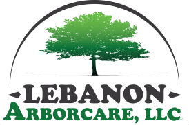 Logo - Lebanon Arbor Care in Lebanon, MO Logo - Lebanon Arbor Care in Lebanon, MO