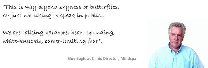 Quote about how we deal with the hardcore fear of public speaking which is way beyond not liking to speak in public